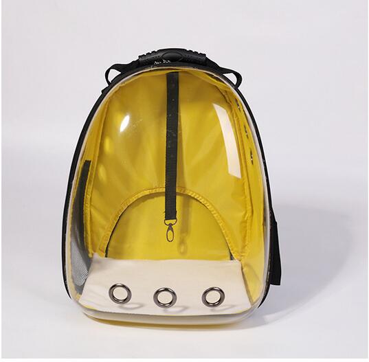 Transparent Cat Backpack and Carrier