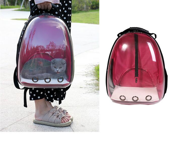 Transparent Cat Backpack and Carrier