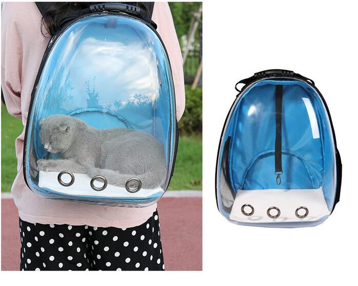 Transparent Cat Backpack and Carrier